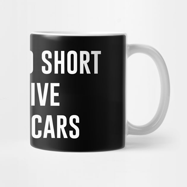 Life's Too Short To Drive Boring Cars by aniza